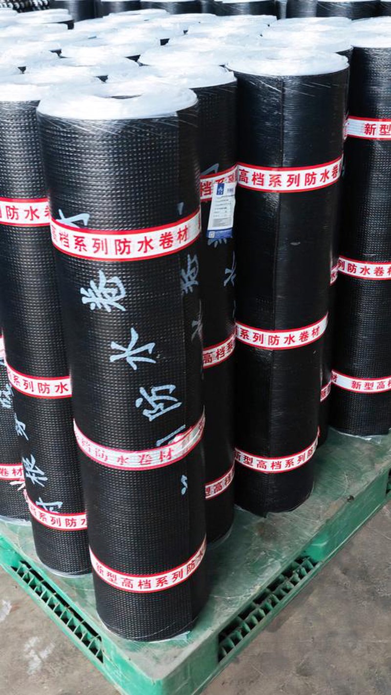 防水材料在建筑工程中的应用案例